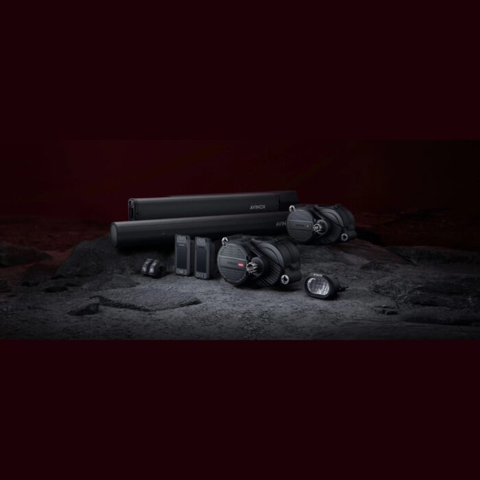 Velduro Rogue M2S (Frame Only)