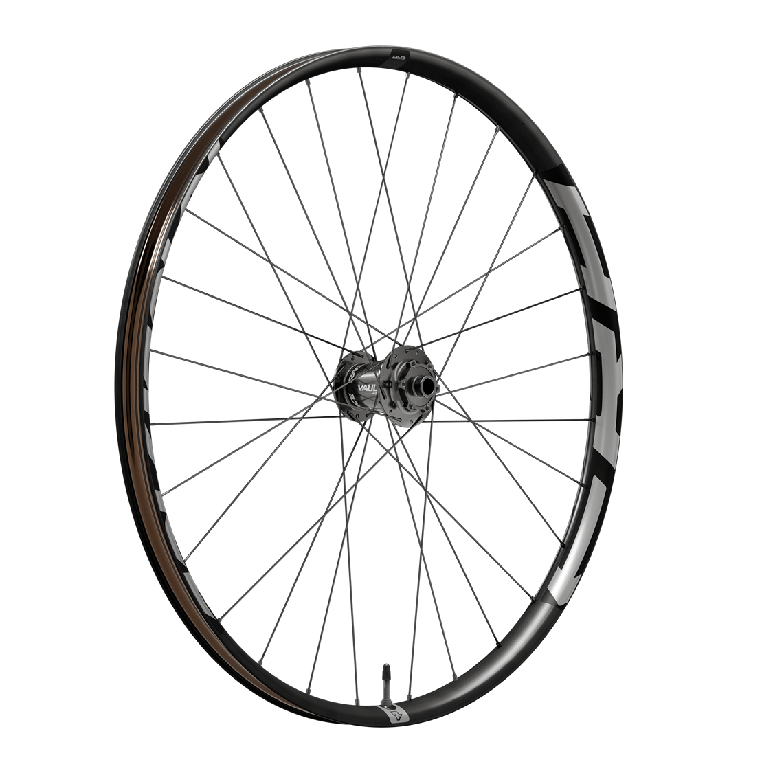 Race Face - Era 29" eMTB Wheels 5 Race Face - Era 29" eMTB Wheels - Image 5