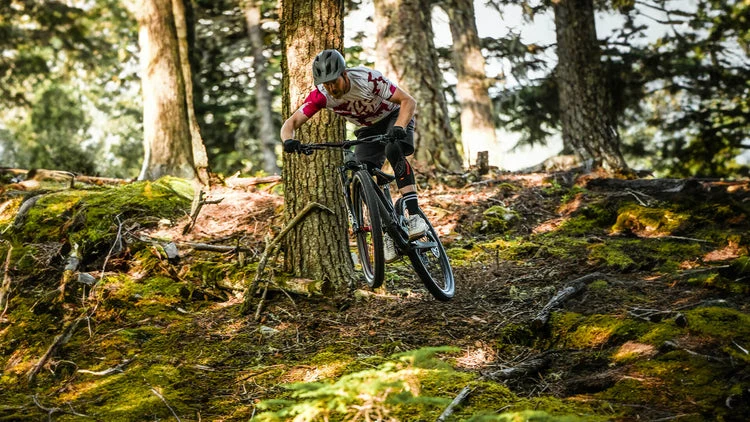 Mountain biker riding a wooded forest trail